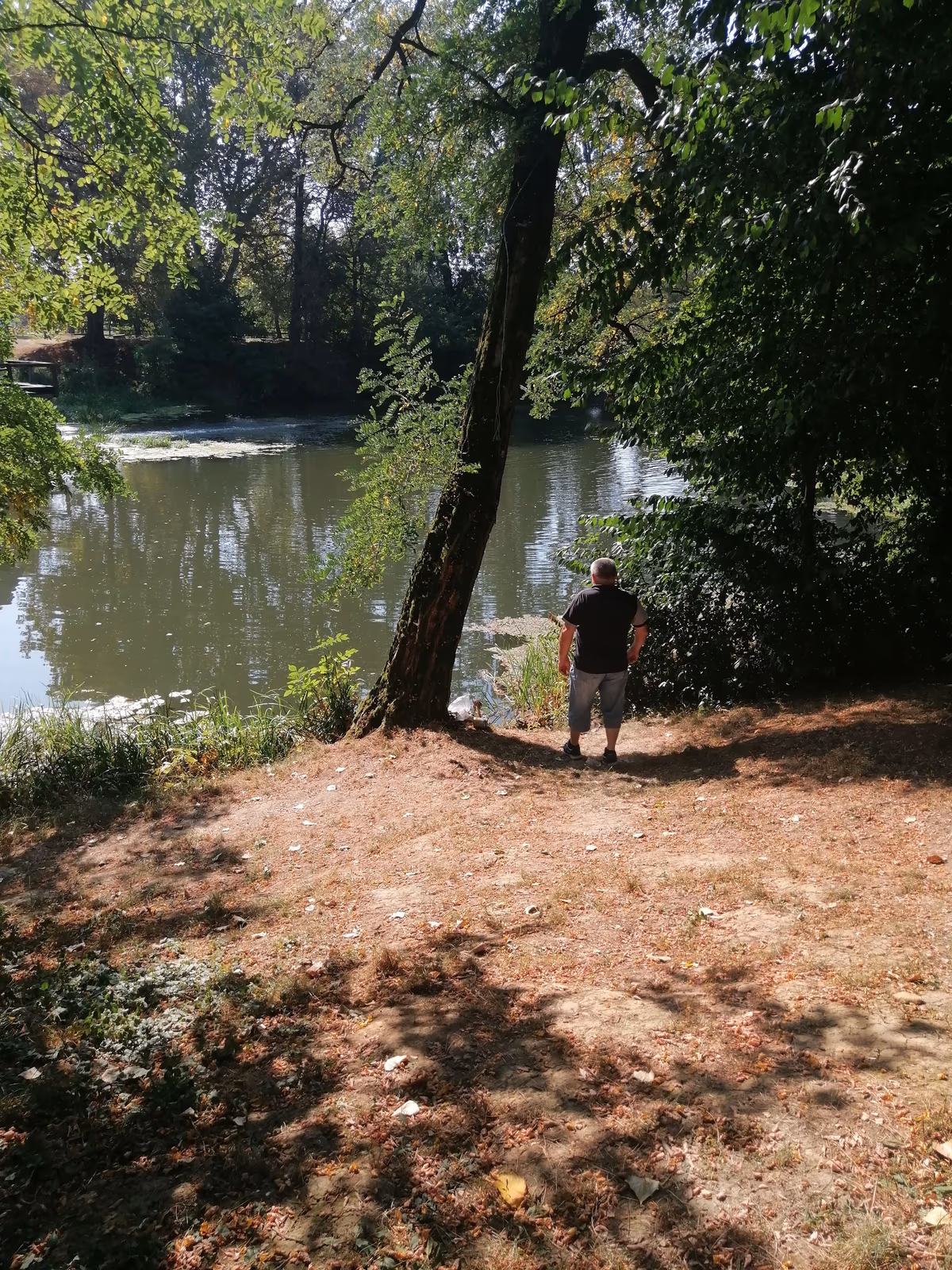 Tiszabezdéd