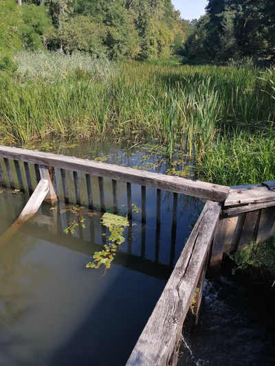 Tiszabezdéd — photo 07