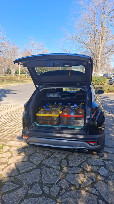 Source of acidic water of Balatonfüred — photo 12