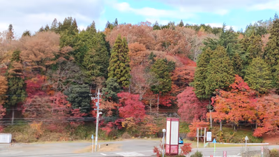 バーデンパーク SOGI — photo 04
