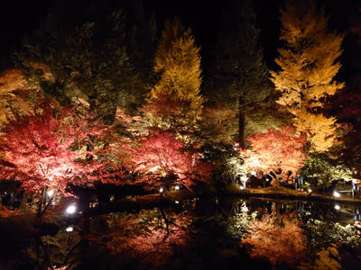 バーデンパーク SOGI — photo 14