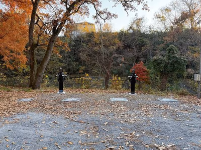 Wado — photo 09