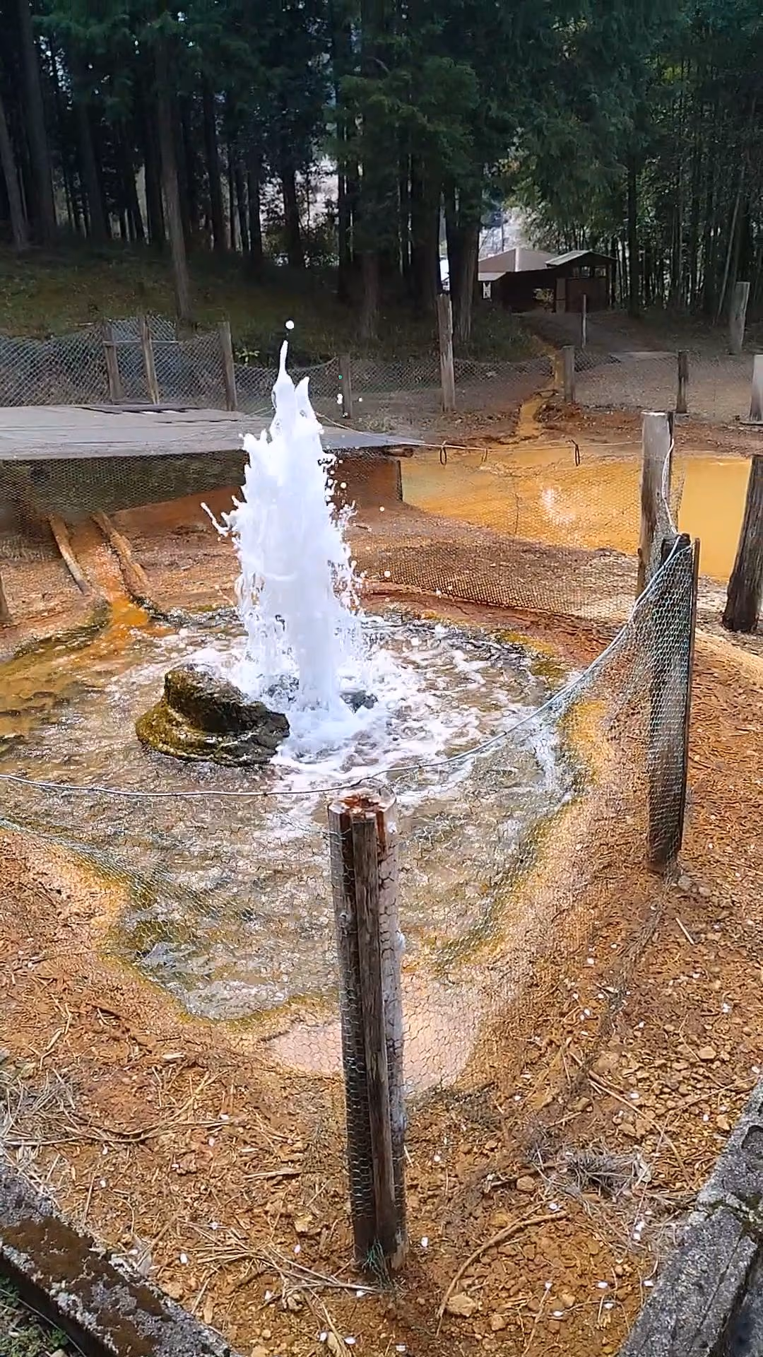 Kibeya Hot Springs Geyser