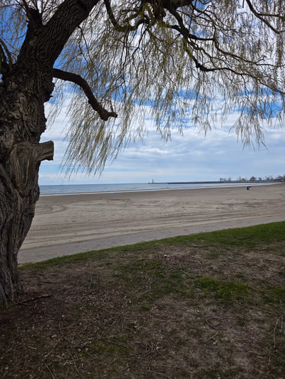 Cobourg Beach — photo 15