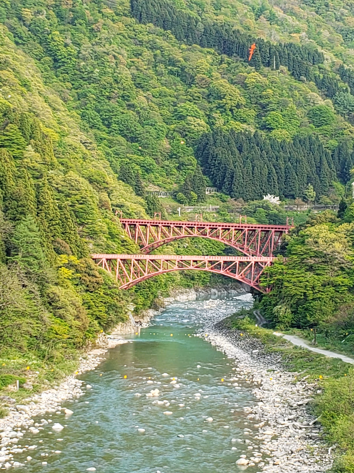 UNAZUKI YAMANOHA