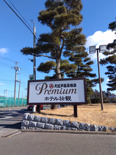 Ooedo Onsen Premium Hotel Spectacular — photo 14