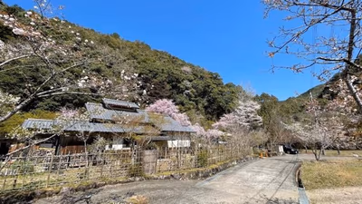 Ryujin — photo 24