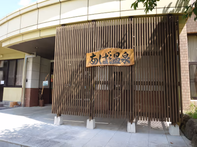 Aba Hot Spring — photo 10