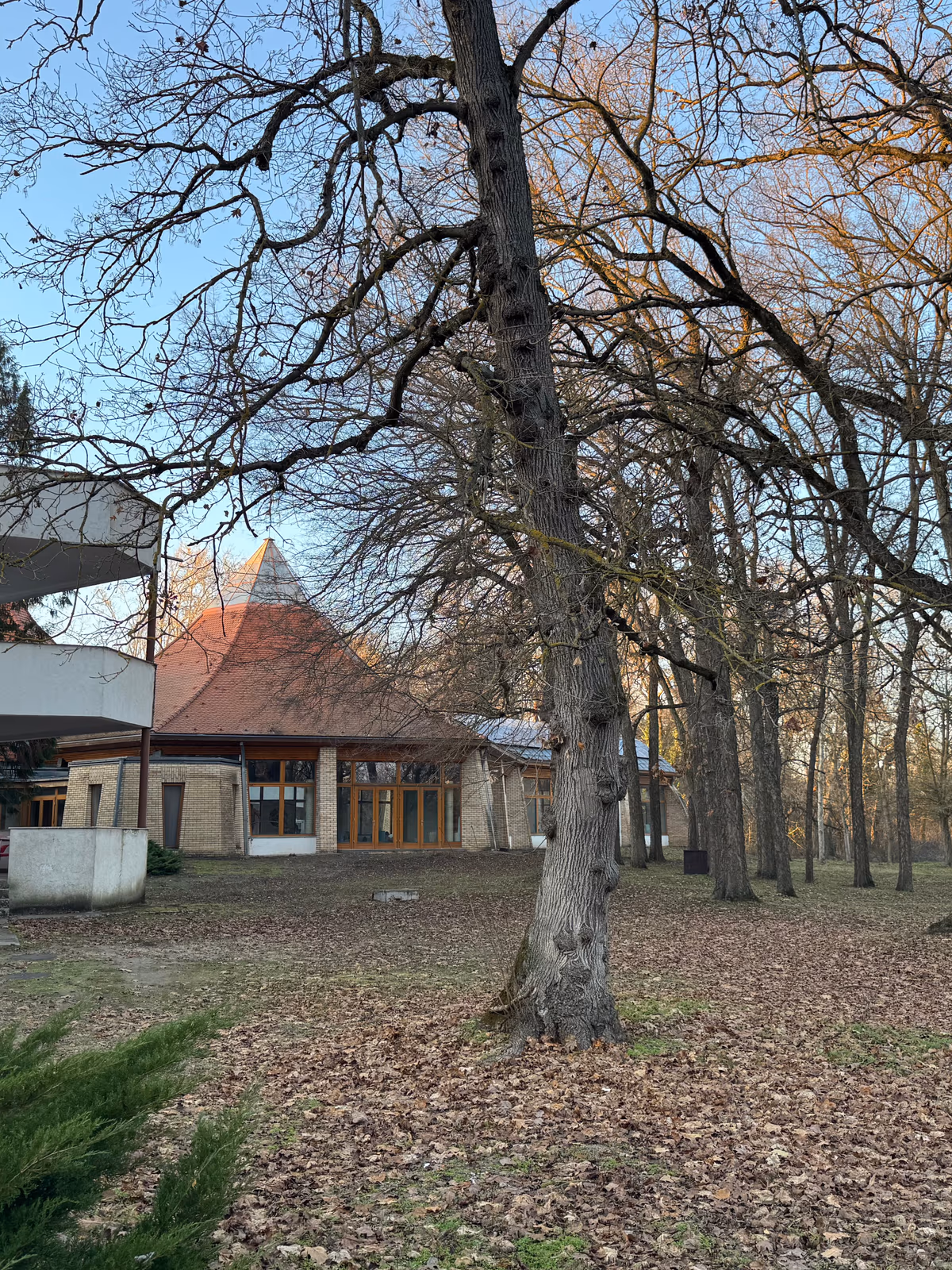 Thermal Hotel Tengelic