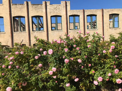 Hot Wells Hotel Ruins — photo 45