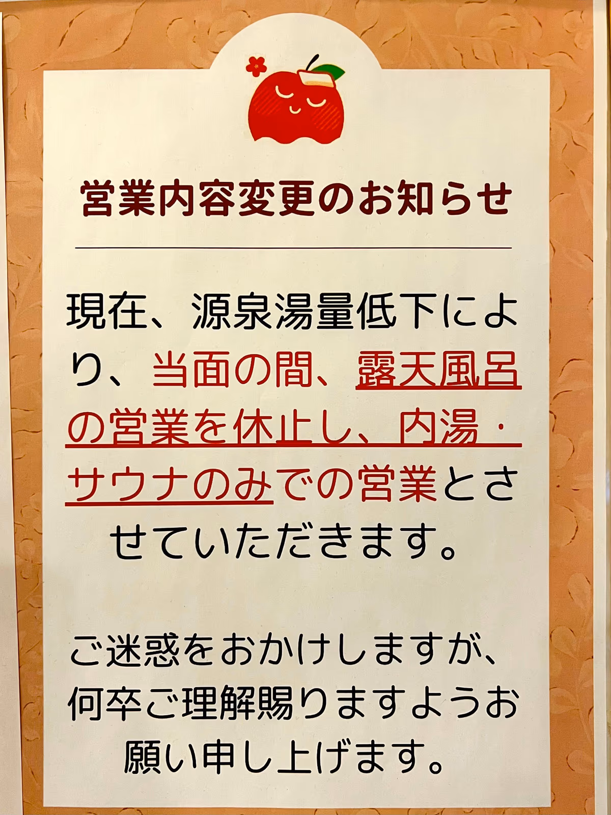 Toyonoonsen Ringo Hot Spring