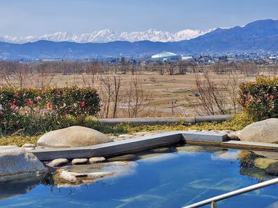Toyonoonsen Ringo Hot Spring — photo 12