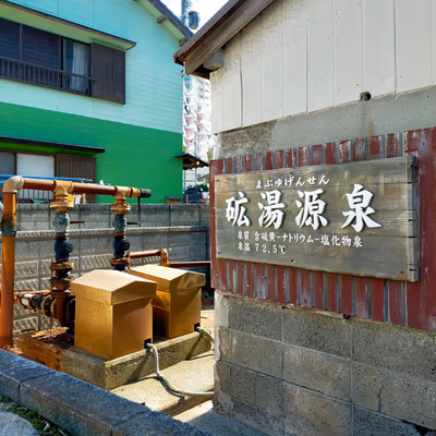 Ebine Hot Spring — photo 13