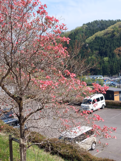 Tsutsumigawa Hot Spring — photo 02