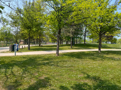 Kelso Beach at Nawash Park — photo 23