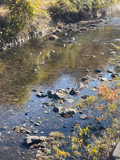 山空海温泉 — photo 23