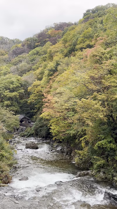 Takaragawa Onsen — photo 16