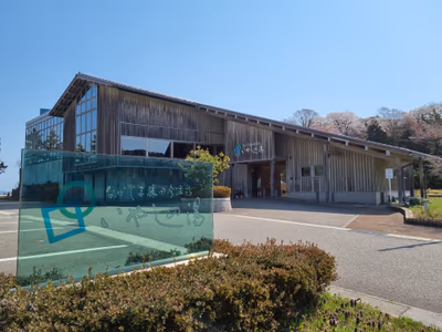 Hyokkori — photo 08