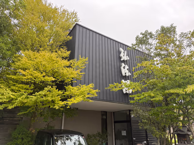 Hyokkori — photo 09
