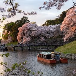 Ashino Hot Spring — photo 06