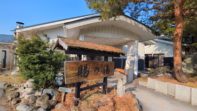 Oitama Onsen — photo 03