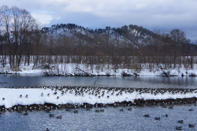 Oitama Onsen — photo 13