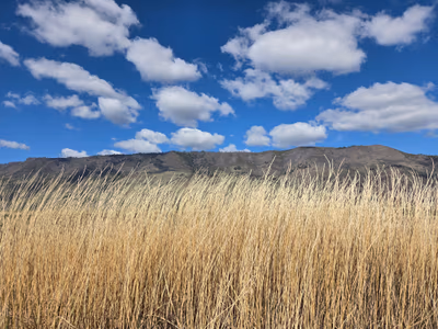 Summer Lake Hot Springs — photo 03