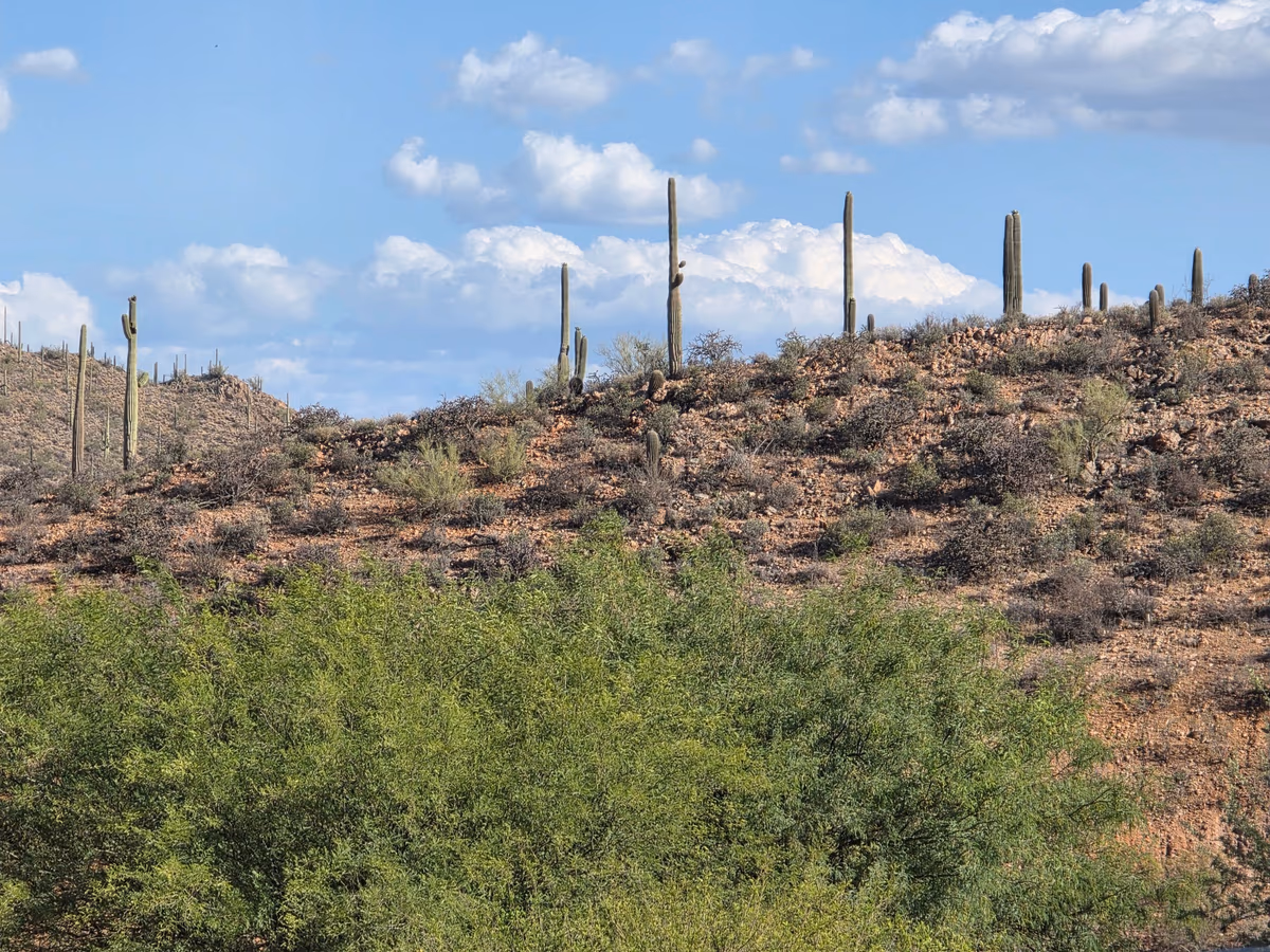 JW Marriott Tucson Starr Pass Resort & Spa