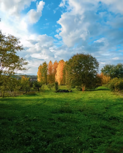 Sülysáp — photo 02