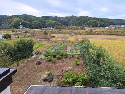Haruno — photo 15
