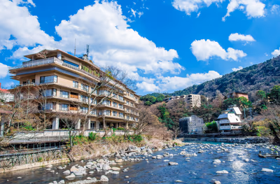 Hakone Kamon — photo 14