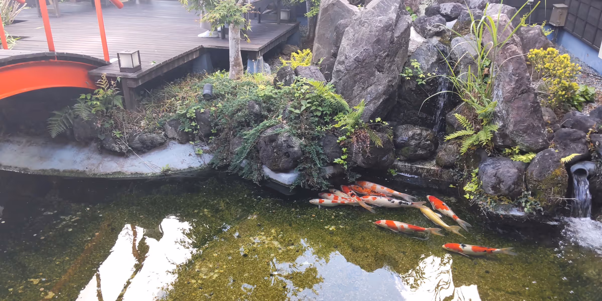 天然自家源泉 星音の湯