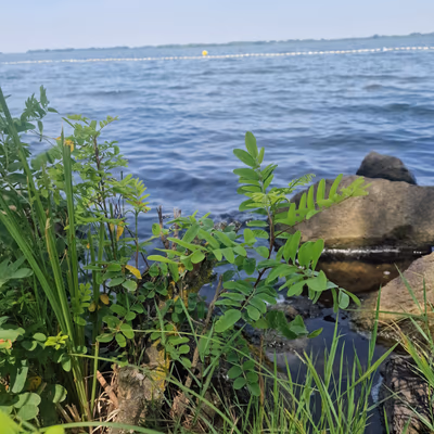 Lake Tisza Beach — photo 13