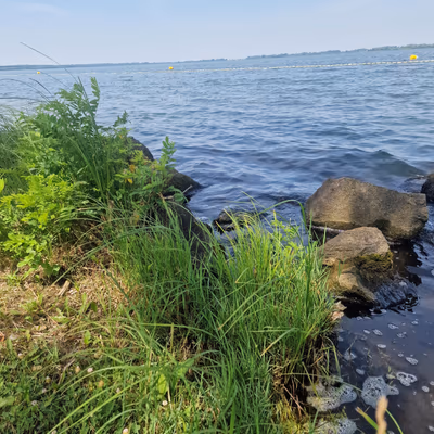 Lake Tisza Beach — photo 14