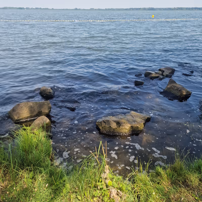 Lake Tisza Beach — photo 15