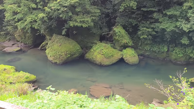 Hinode Onsen Kinoko no Sato (Kirishima Onsen) — photo 03