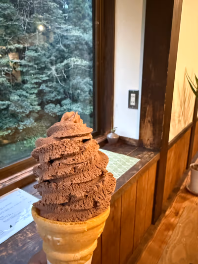 Hinode Onsen Kinoko no Sato (Kirishima Onsen) — photo 04