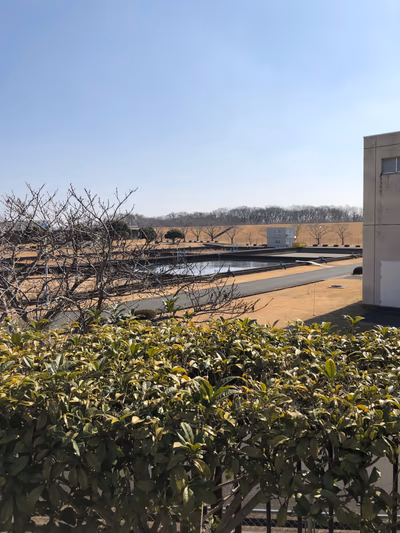 Toride Katarai — photo 20