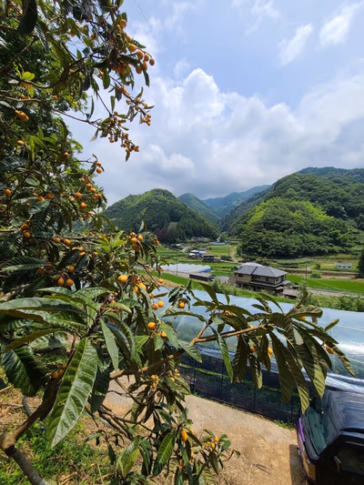 天然の湯いよ温泉 — photo 08