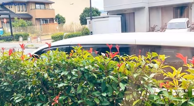 Minamitei — photo 17