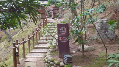 Mori no Sumika Resort & Spa — photo 07
