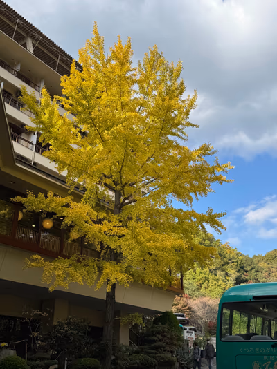 Fushio Kaku Onsen — photo 31