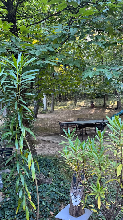 Mohás Vendégház Kőszeg Apartman Hotel Zimmer Túra Kerékpár Bor Írottkő — photo 13