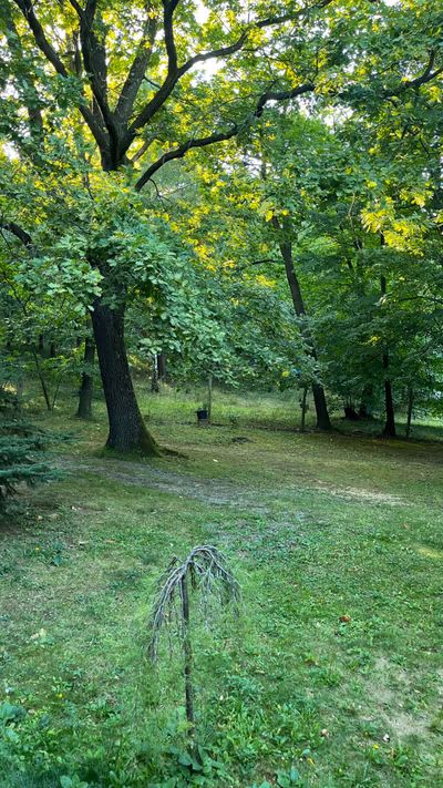 Mohás Vendégház Kőszeg Apartman Hotel Zimmer Túra Kerékpár Bor Írottkő — photo 14