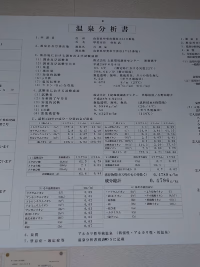 甲斐市民温泉 百楽泉 — photo 13