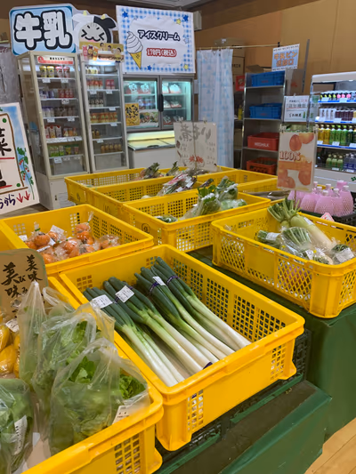 Tendo Onsen YuPia — photo 26