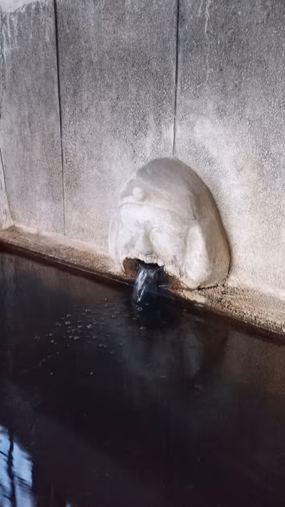 人吉温泉 鶴亀温泉 — photo 08