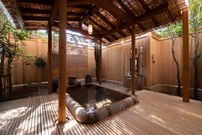Yahiko Sakuraikyo Onsen Sakura no Yu — photo 09