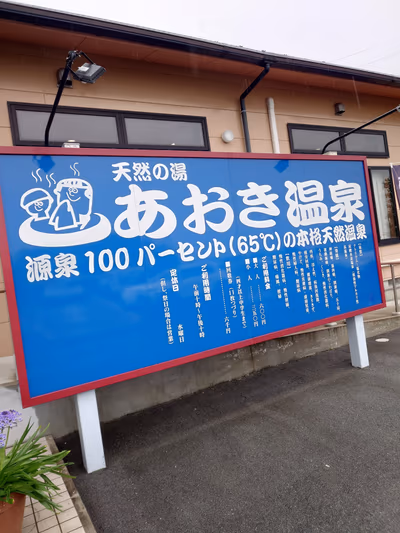 Aoki Hot Spring — photo 10