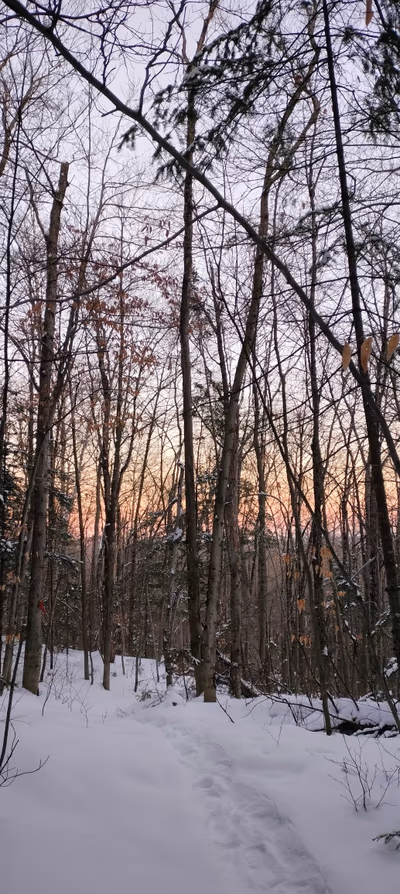 Parc national de la Mauricie, entrée Saint — photo 17